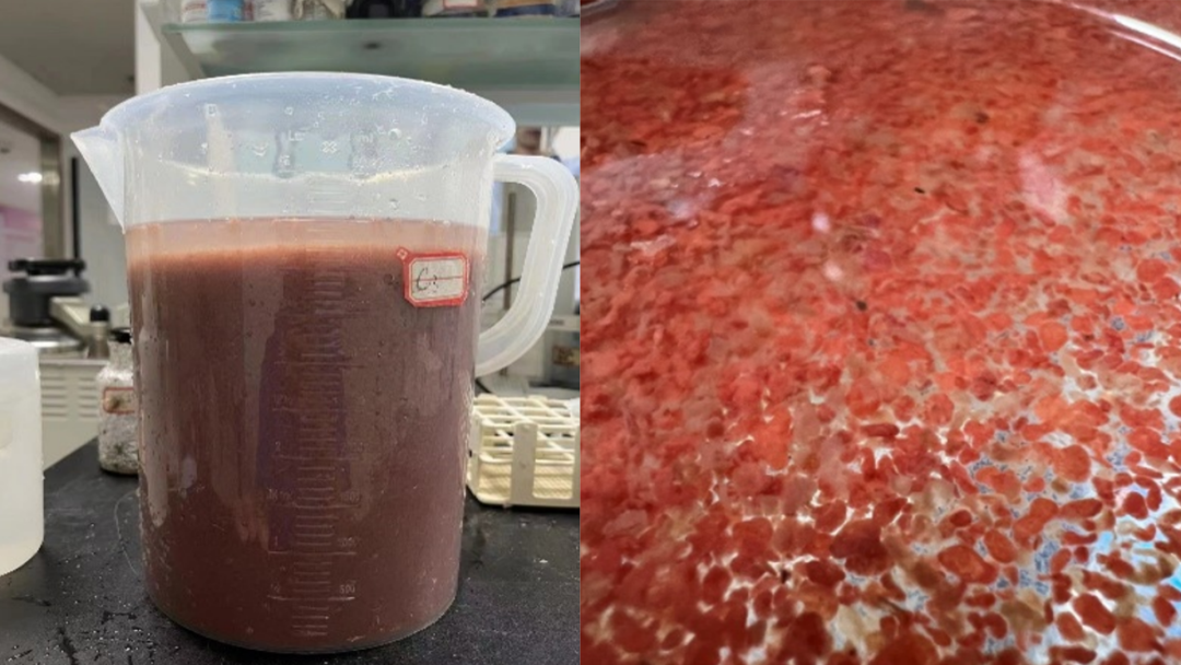 20230111092048498 ȨÃŹú¼Ê¹ÙÍø-²»·²³É¾Í·Ç·²,ÏàÐÅÆ·ÅƵÄÁ¦Á¿