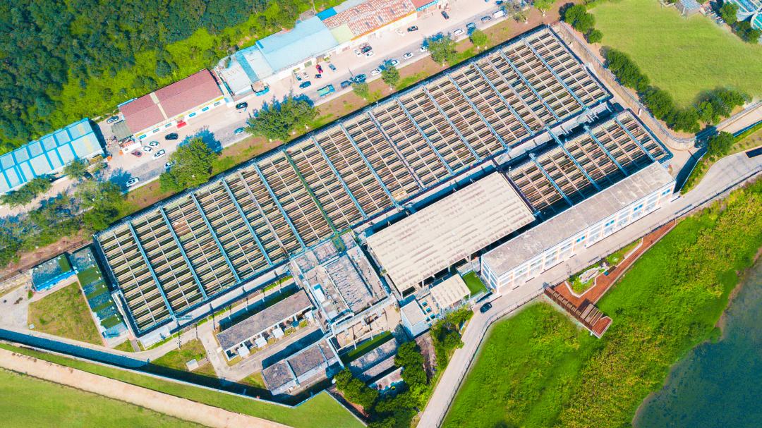 Ȩ�Ź��ʹ���-�����ɾͷǷ�,����Ʒ�Ƶ�����