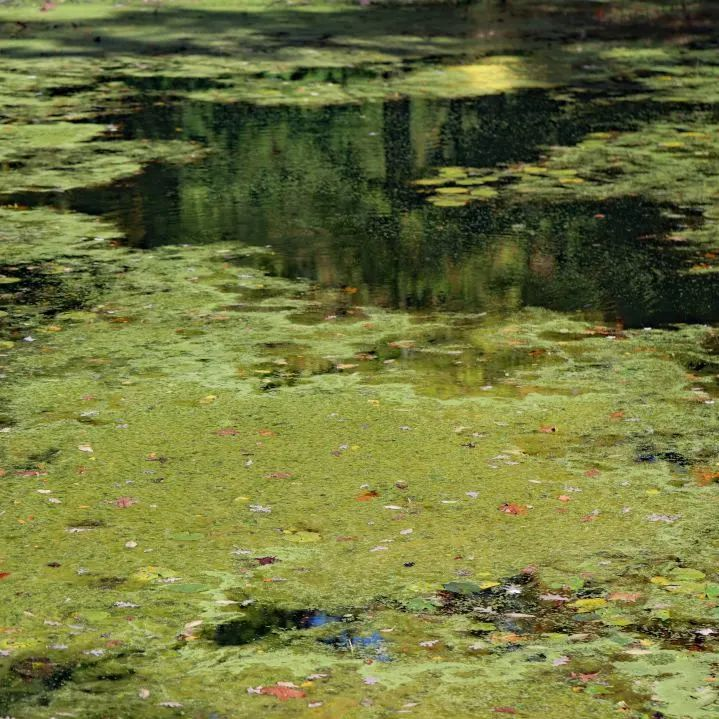 Ȩ�Ź��ʹ���-�����ɾͷǷ�,����Ʒ�Ƶ�����