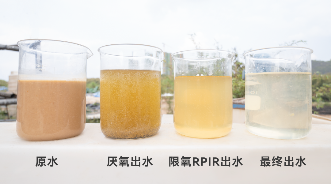 Ȩ�Ź��ʹ���-�����ɾͷǷ�,����Ʒ�Ƶ�����