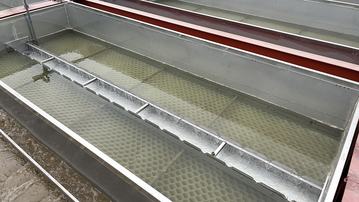 Ȩ�Ź��ʹ���-�����ɾͷǷ�,����Ʒ�Ƶ�����