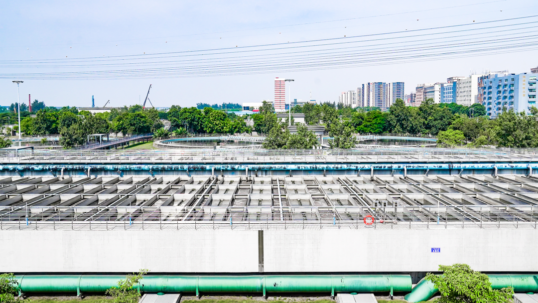 Ȩ�Ź��ʹ���-�����ɾͷǷ�,����Ʒ�Ƶ�����