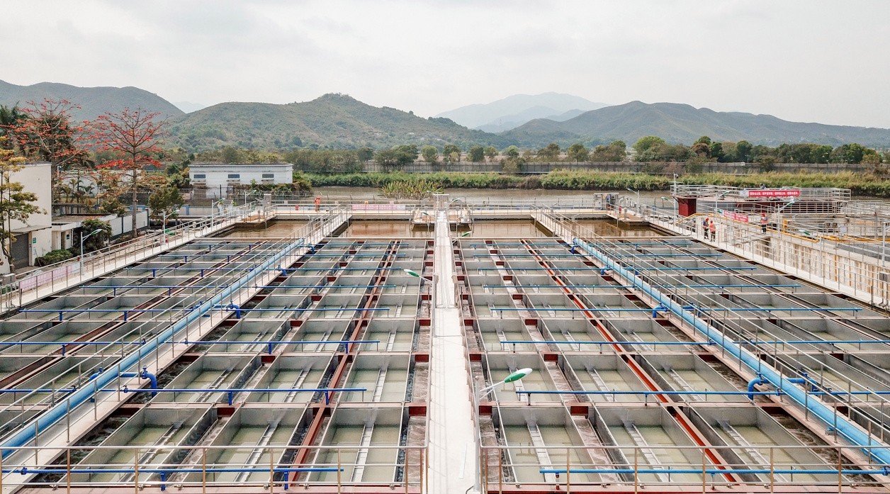 Ȩ�Ź��ʹ���-�����ɾͷǷ�,����Ʒ�Ƶ�����