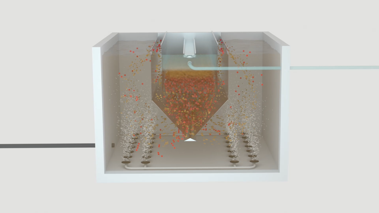 20241206114122190 ȨÃŹú¼Ê¹ÙÍø-²»·²³É¾Í·Ç·²,ÏàÐÅÆ·ÅƵÄÁ¦Á¿