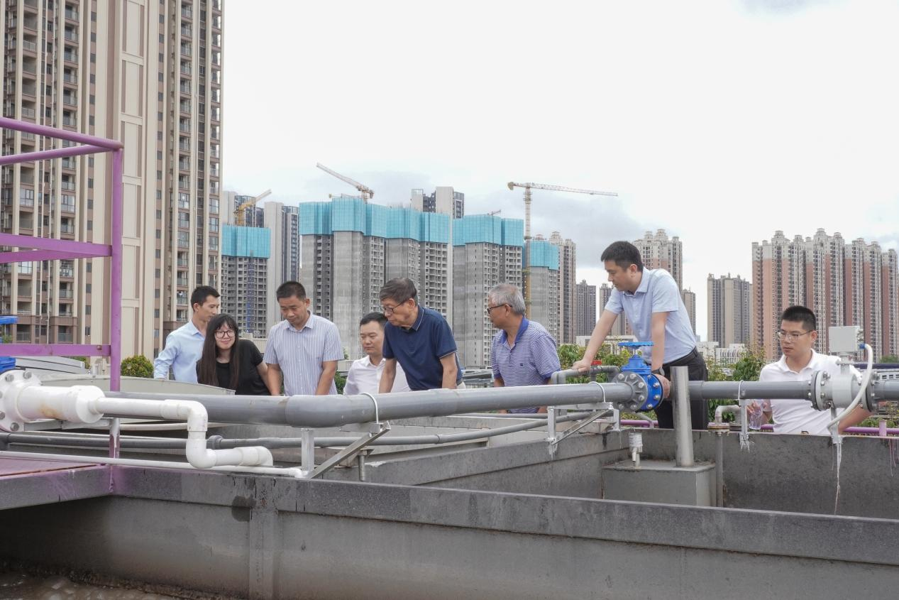 Ȩ�Ź��ʹ���-�����ɾͷǷ�,����Ʒ�Ƶ�����