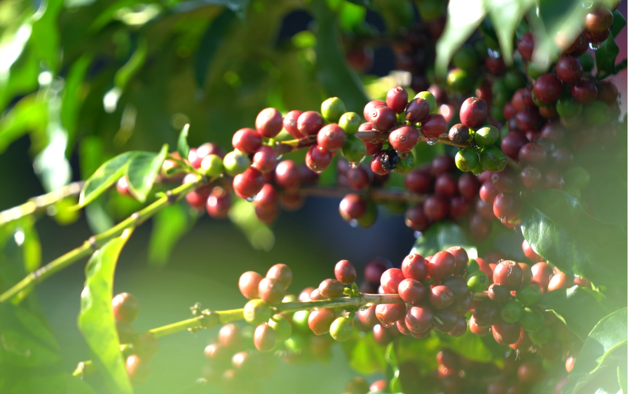 Ȩ�Ź��ʹ���-�����ɾͷǷ�,����Ʒ�Ƶ�����