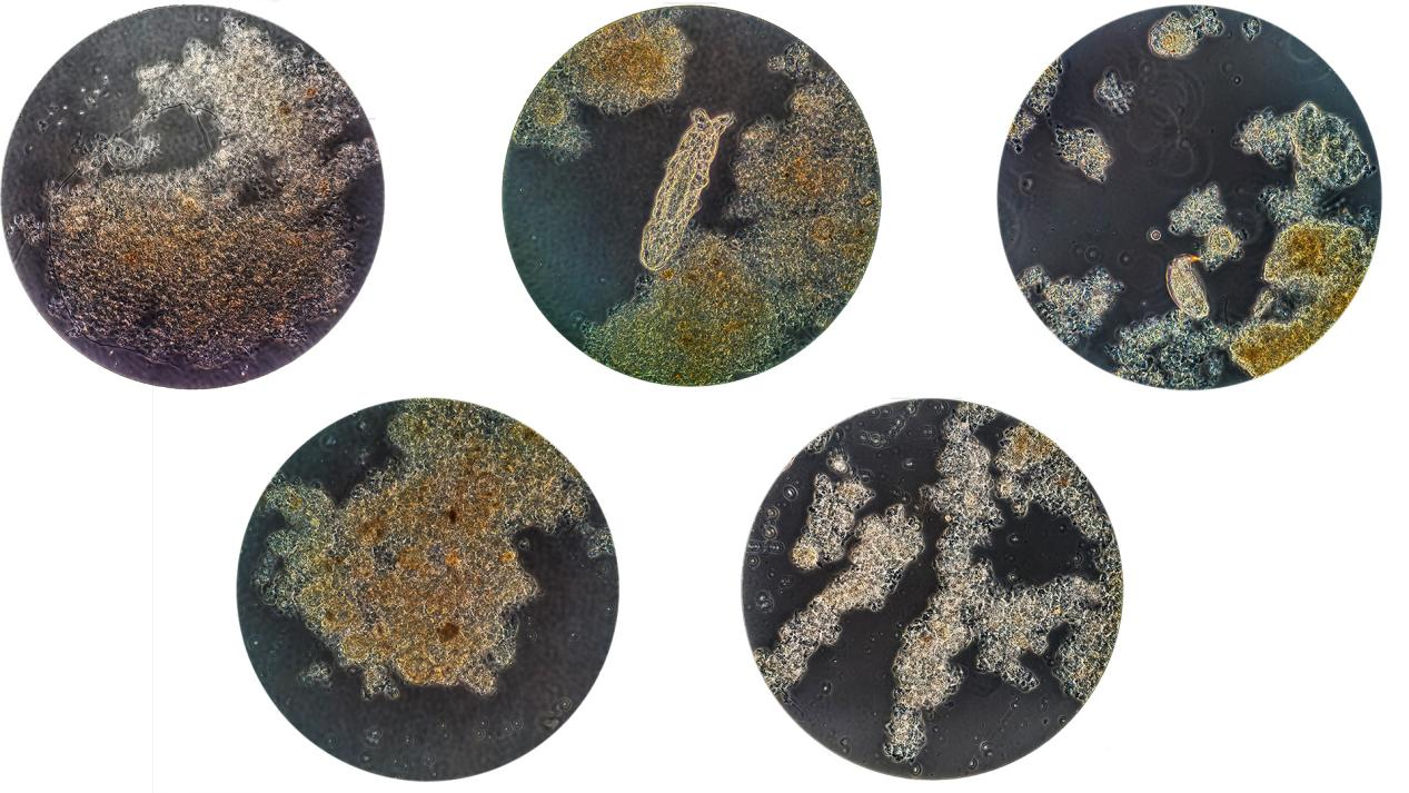 20250911101623193 权门国际官网-不凡成就非凡,相信品牌的力量
