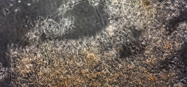 2025091110232652 权门国际官网-不凡成就非凡,相信品牌的力量