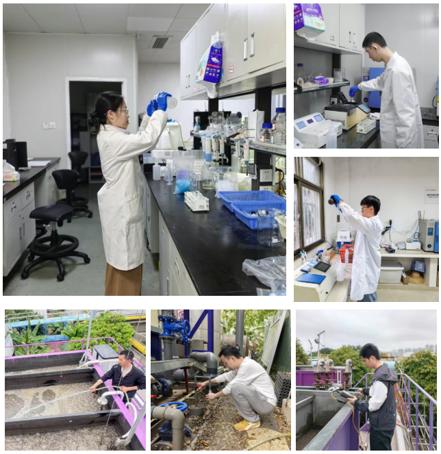 Ȩ�Ź��ʹ���-�����ɾͷǷ�,����Ʒ�Ƶ�����